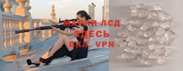 гидра Елизово