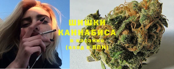 хмурый Липки