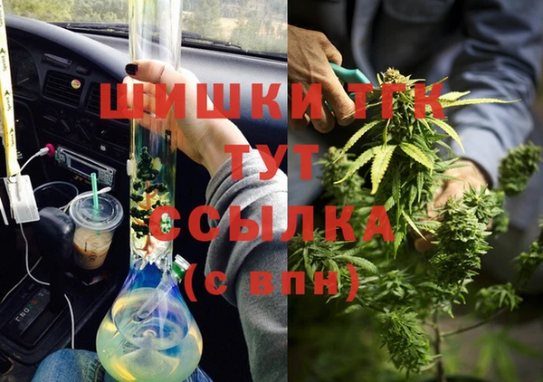 прущие грибы Костерёво
