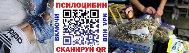 Галлюциногенные грибы мицелий  Калачинск 